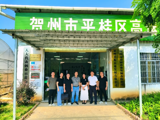 新闻稿222871.png